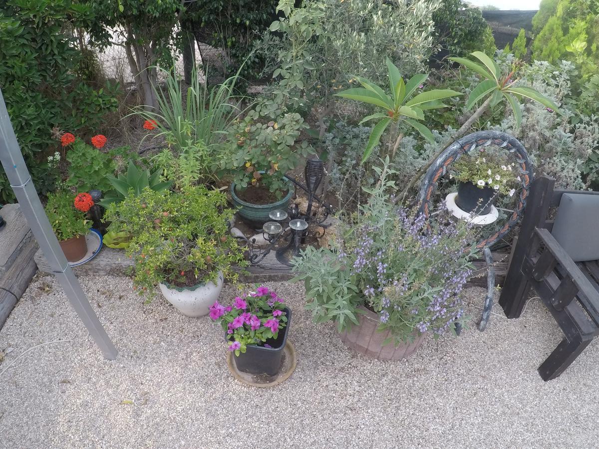 Asbn Magic Garden Villa Akka Dış mekan fotoğraf